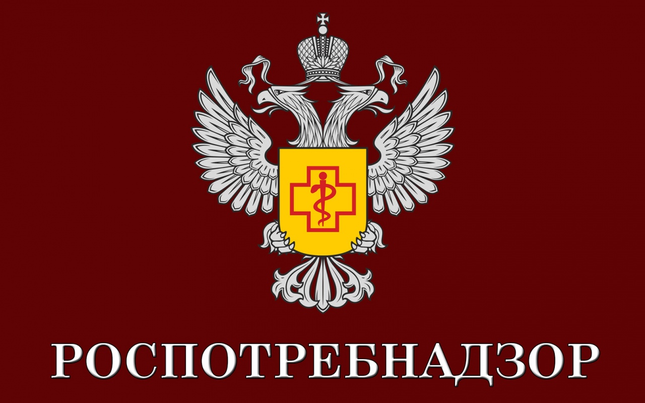 С 04.08.2025 по 15.08.2025 года территориальным отделом будет организована работа "горячих линий"