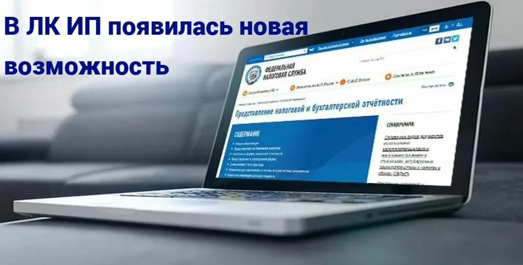 Рассказываем про новую возможность в ЛК ИП на сайте налоговой