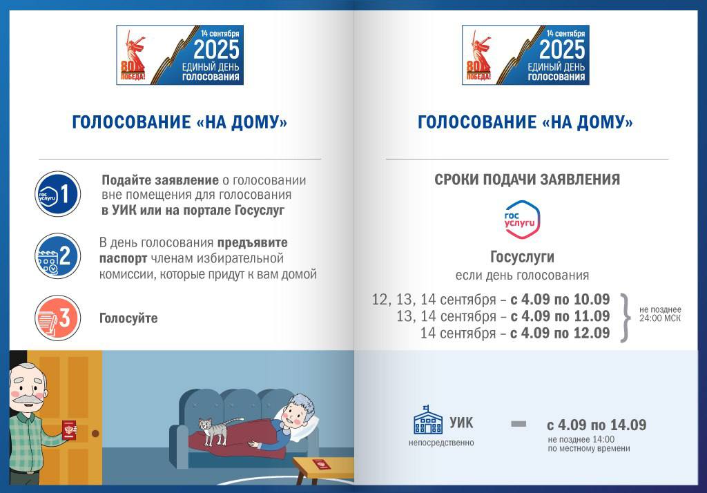 Голосование на дому